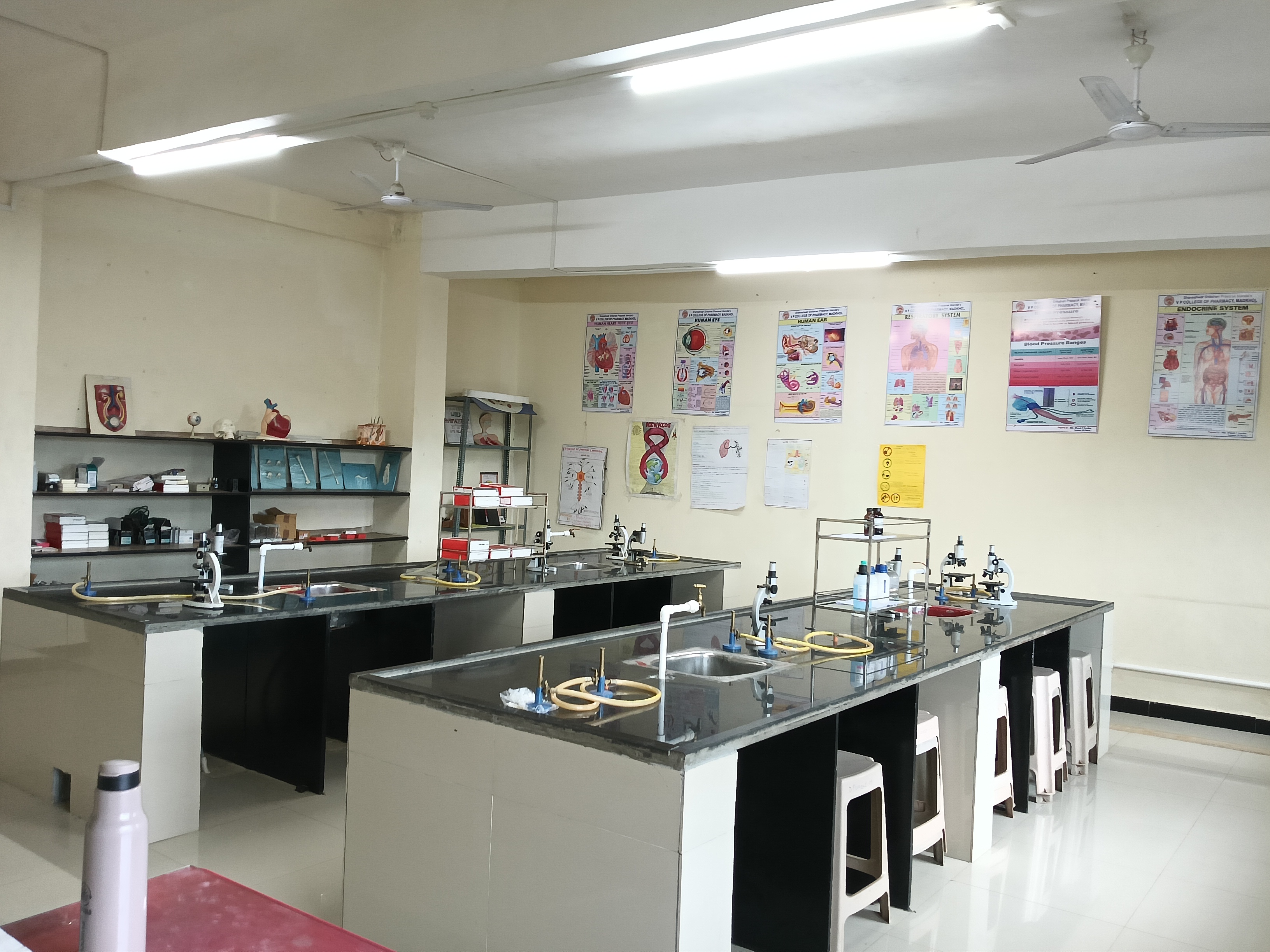 Human Anatomy and Physiology Lab